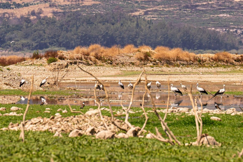 Barajlar bir bir eridi, Çeşme'de kesinti başladı: İzmir S.O.S. veriyor - Resim: 5