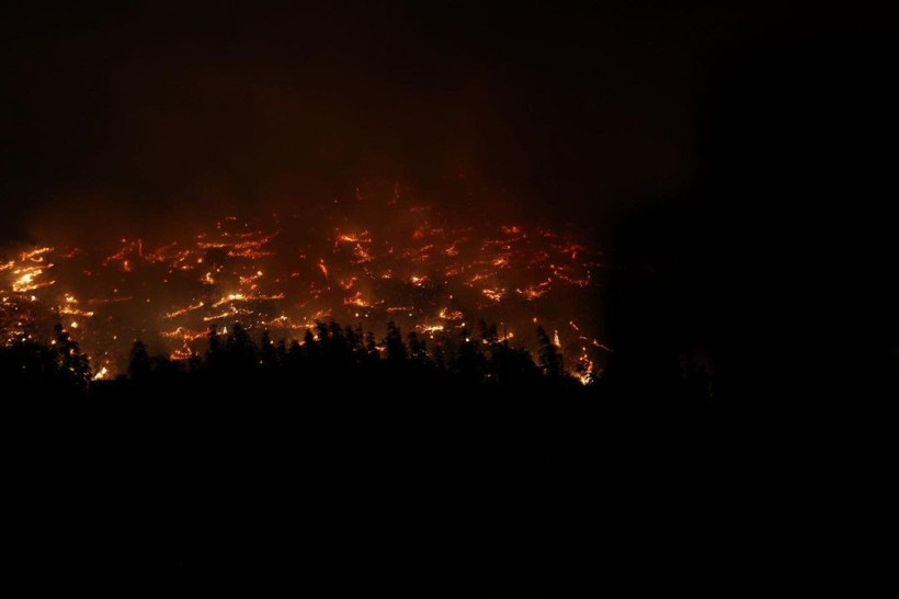 Bursa yangınından korkutan fotoğraflar - Resim: 39