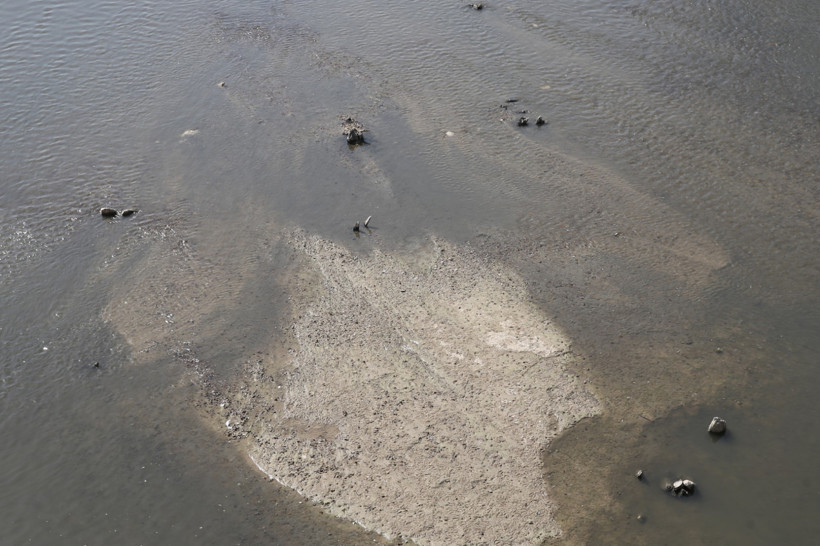 Meriç çekildi, tarih ortaya çıktı! 1830’ların ahşap köprüsü yeniden göründü - Resim : 6