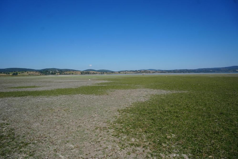 Su metrelerce çekildi: Bir zamanlar balıklar yüzüyordu, şimdi inekler otluyor - Resim: 7
