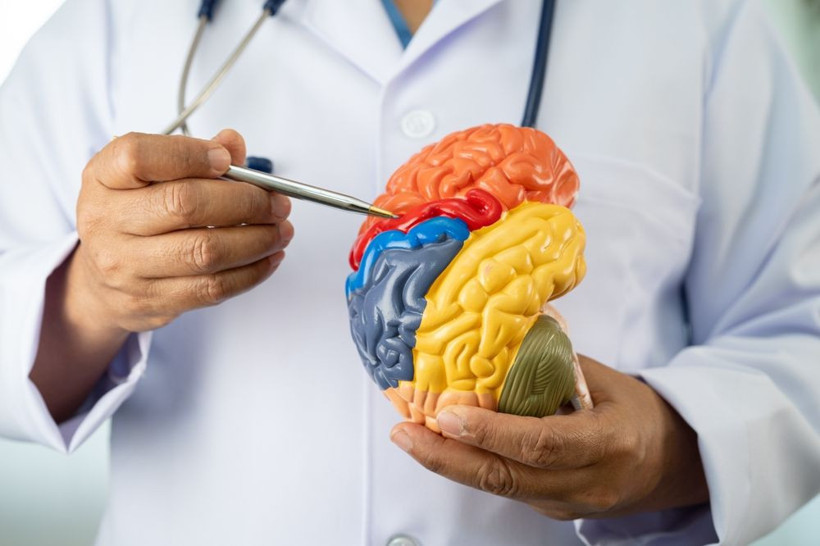 Bu baharat her derde deva: Kolesterolü düşürüyor, kalbi güçlendiriyor - Resim: 6