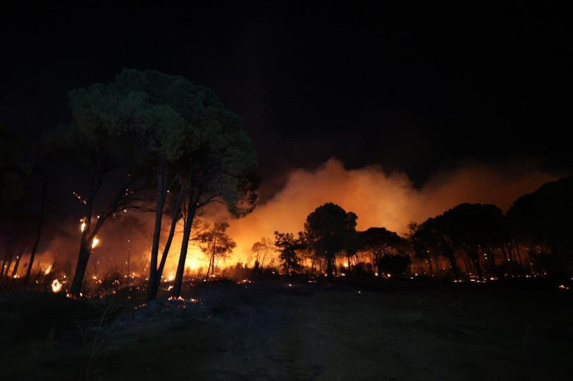 Antalya'da büyük orman yangını - Resim: 3