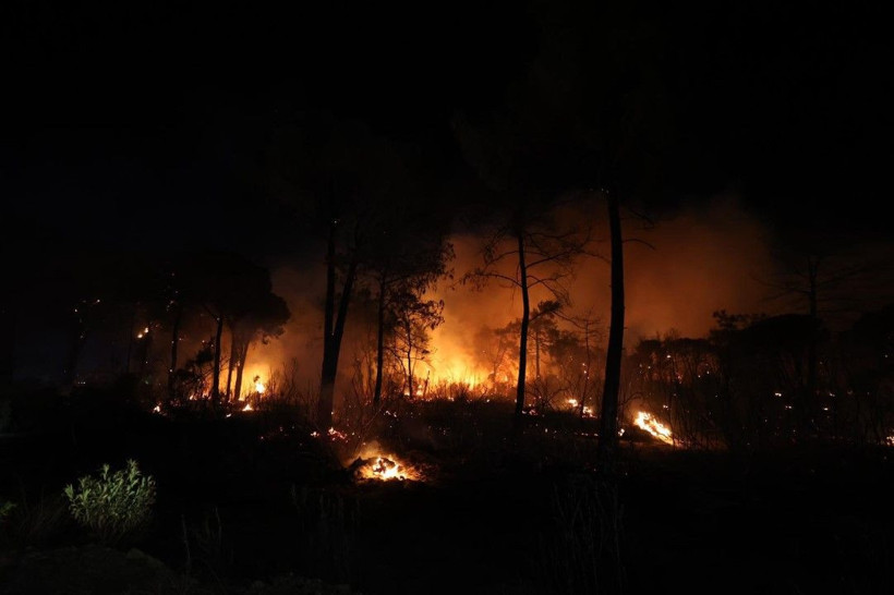 Antalya'da büyük orman yangını - Resim: 5