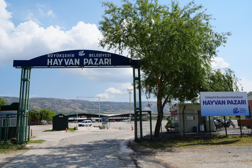 Eskişehir’de şap hastalığı çıkan mahallede hayvan pazarı kapatıldı - Resim : 1