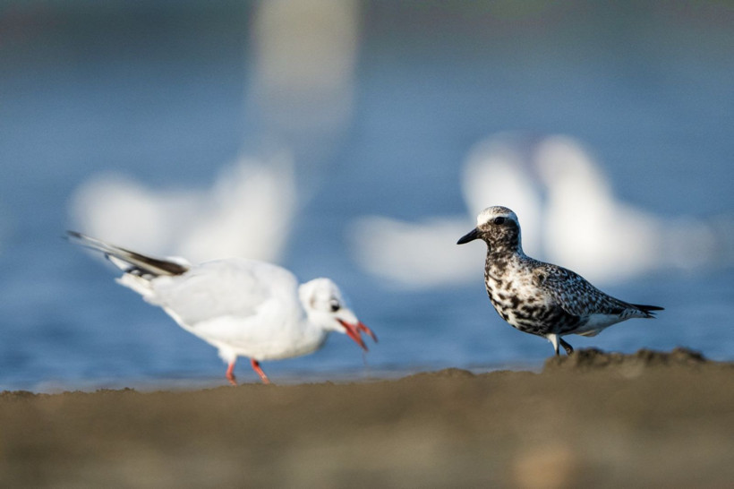 Sonbaharın habercileri Kocaçay’da - Resim: 18