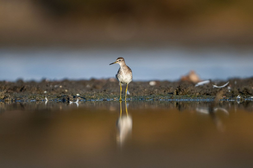 Sonbaharın habercileri Kocaçay’da - Resim: 19