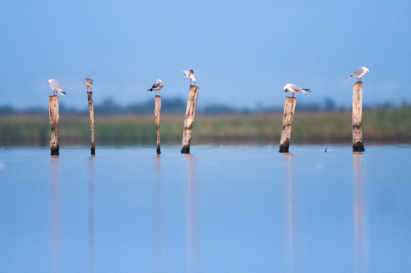 Sonbaharın habercileri Kocaçay’da - Resim: 21