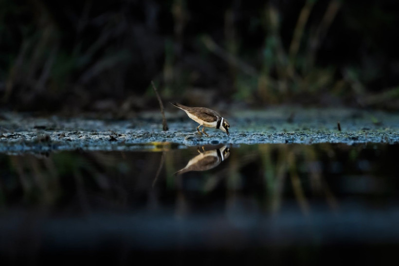 Sonbaharın habercileri Kocaçay’da - Resim: 24
