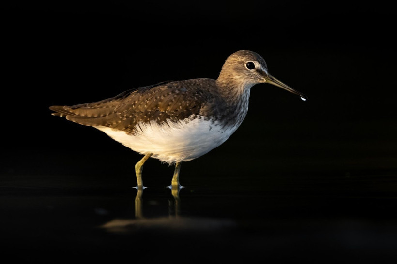 Sonbaharın habercileri Kocaçay’da - Resim: 25