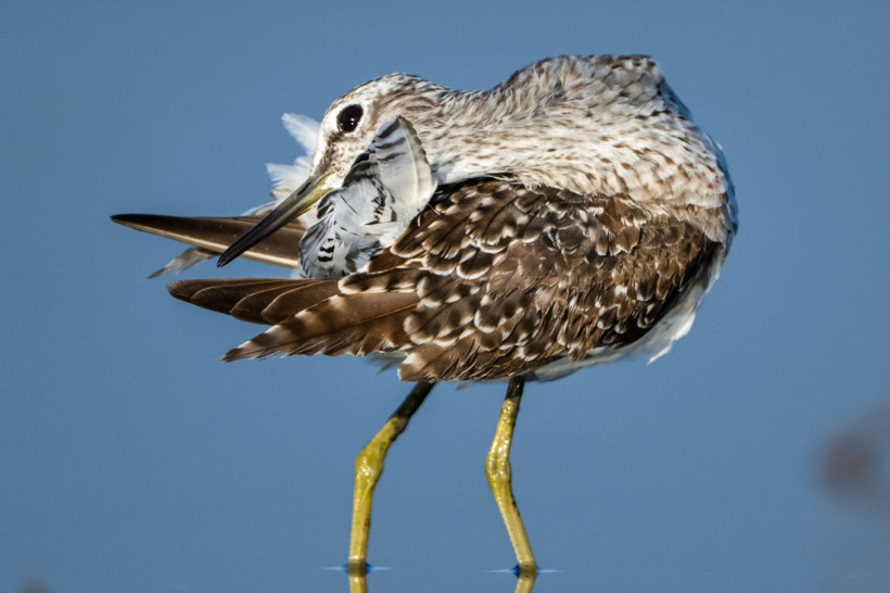 Sonbaharın habercileri Kocaçay’da - Resim: 28