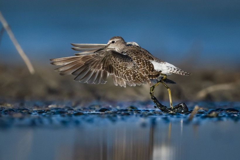 Sonbaharın habercileri Kocaçay’da - Resim: 31