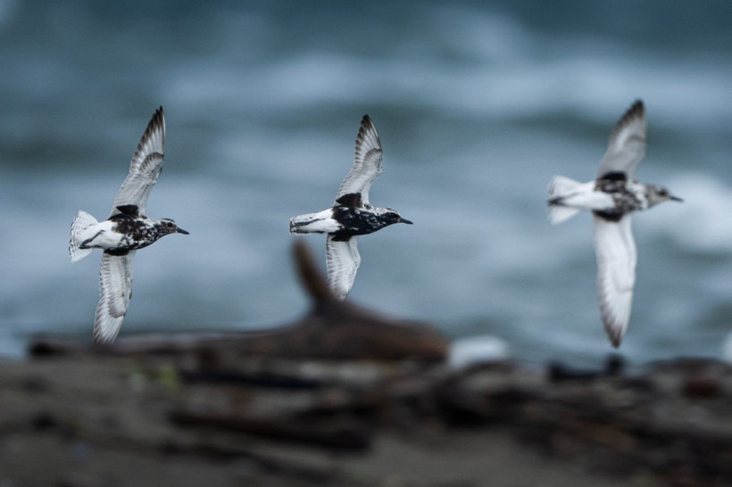 Sonbaharın habercileri Kocaçay’da - Resim: 35
