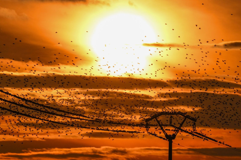 Gün batımında doğanın gösterisi - Resim: 5