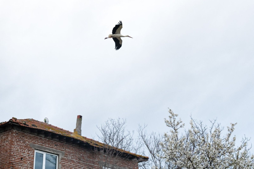 15'inci kez geldi: Nazlı değil Yaren'miş - Resim: 3