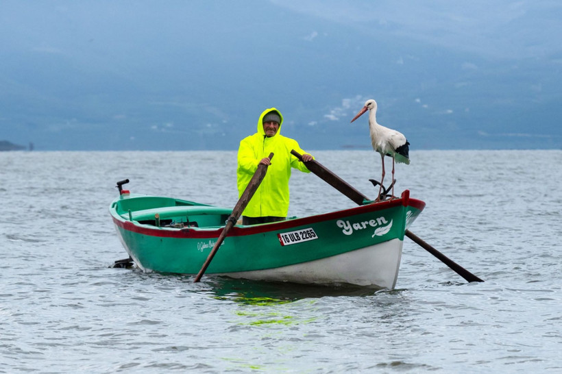 15'inci kez geldi: Nazlı değil Yaren'miş - Resim: 4
