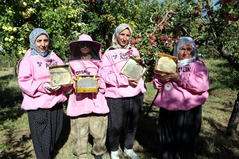 Pembe maskelerini taktılar 2 bin rakımda hasada &ccedil;ıktılar - Resim : 1