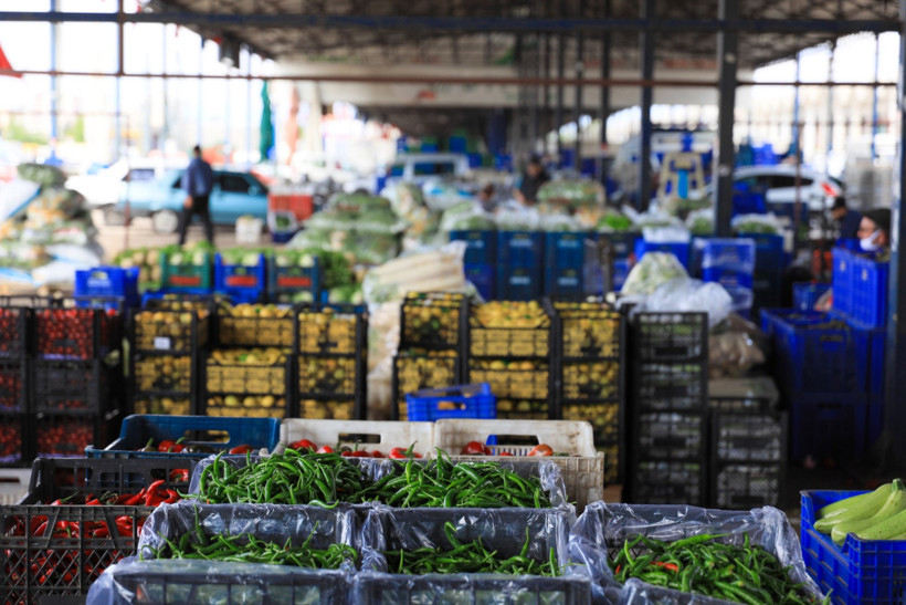 Biber üşüdü, cebimiz yandı - Resim : 2