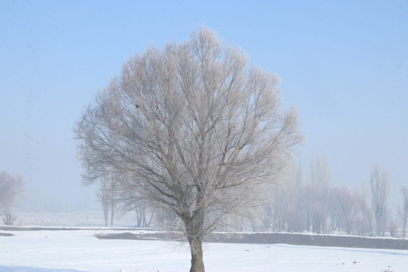 Termometrelerin eksi 15'i gösterdiği Ağrı'da buz kütleleri aktı - Resim: 10