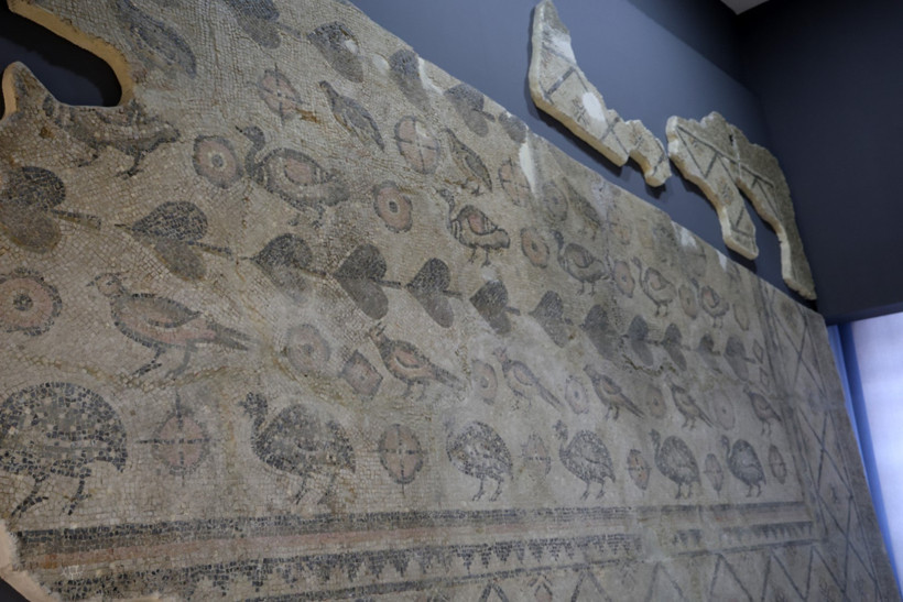 2 bin yıllık mozaiğin kalan parçası Sivas'ta ahırdan çıkarılmayı bekliyor - Resim : 3