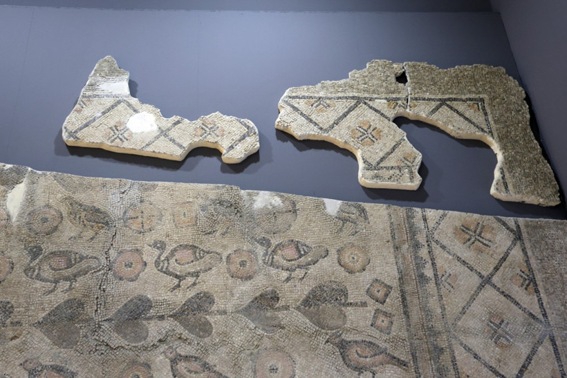 2 bin yıllık mozaiğin kalan parçası Sivas'ta ahırdan çıkarılmayı bekliyor - Resim : 2