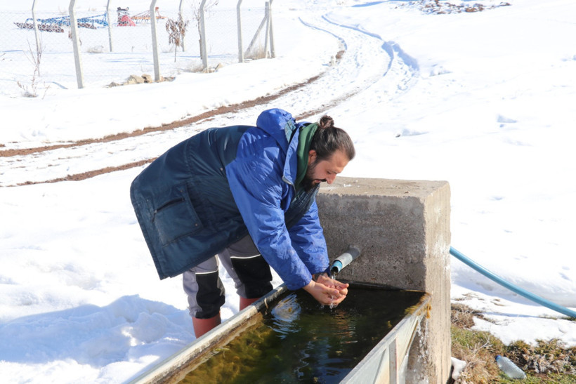 'Öküz alırız o parayla' repliği gerçek oldu - Resim : 3