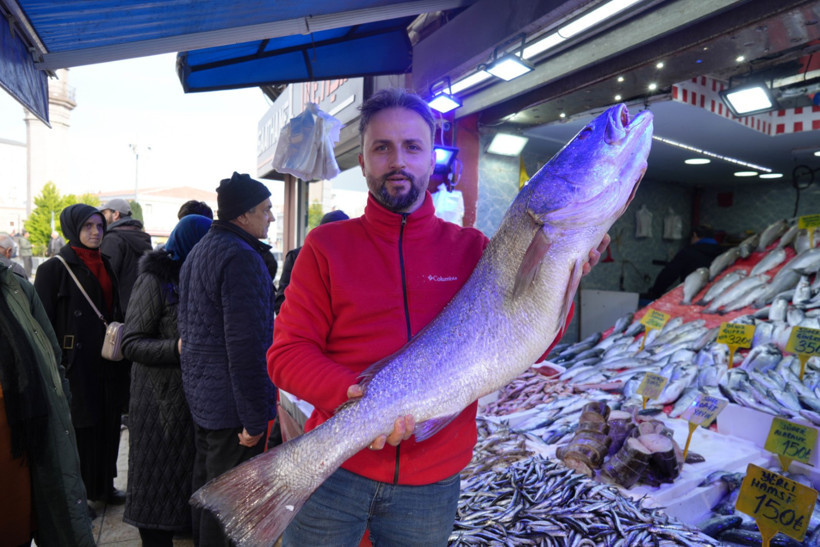 120 santim boyunda dev minekop avladı: 6 bin liraya sattı - Resim : 1