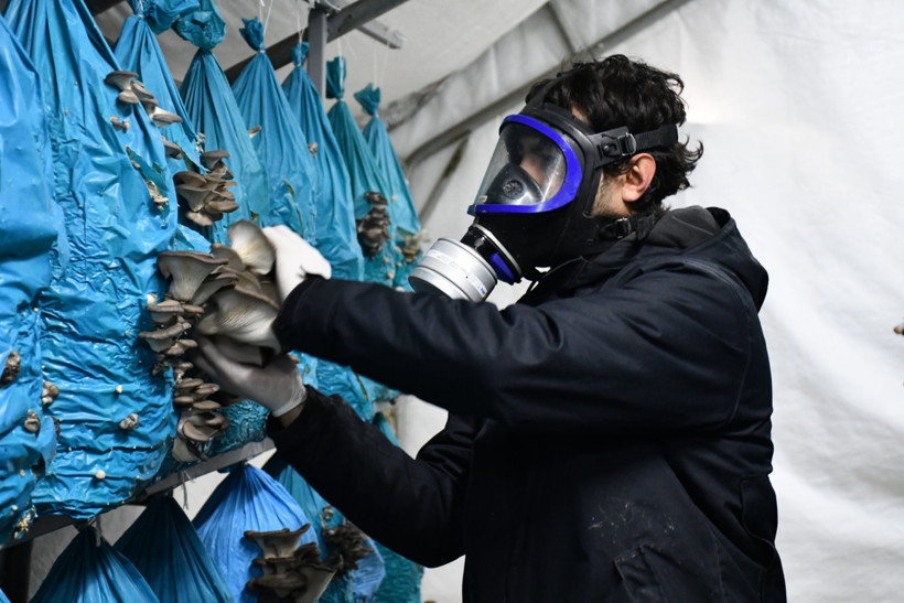 Şehirden köye göç ettiler: Yılda 10 ton üretim yapıyorlar - Resim : 1