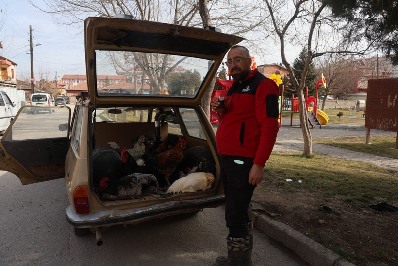 Gezen tavuk değil gezgin tavuk - Resim : 2