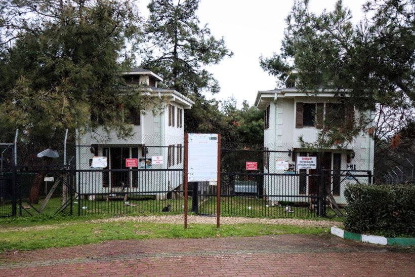 Engelli ve sahipsiz kediler 18 yıldır "villa"da yaşıyor - Resim : 1