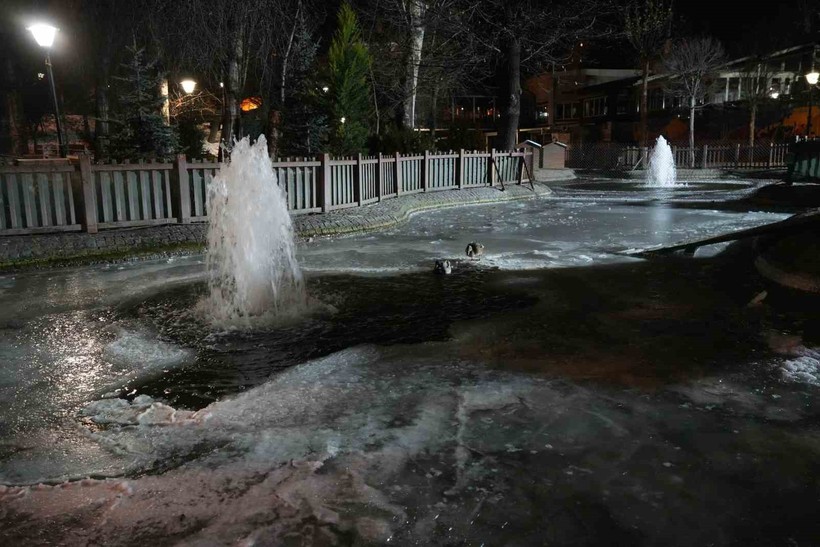 Ankara buz kesti: Kuğulu Park havuzu dondu - Resim : 1