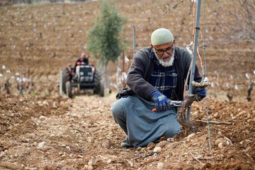 Adıyaman'a bahar erken geldi - Resim: 7