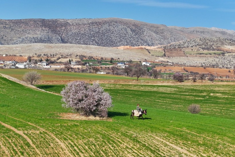 Adıyaman'a bahar erken geldi - Resim: 4