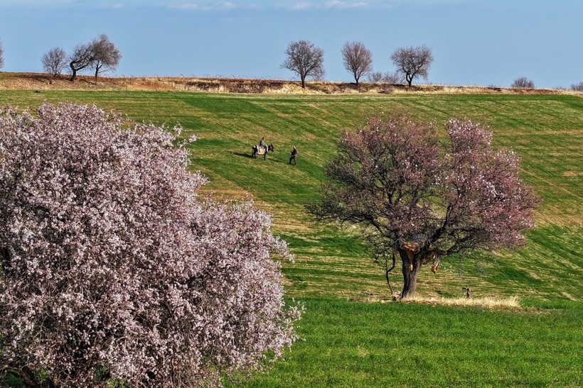 Adıyaman'a bahar erken geldi - Resim: 15