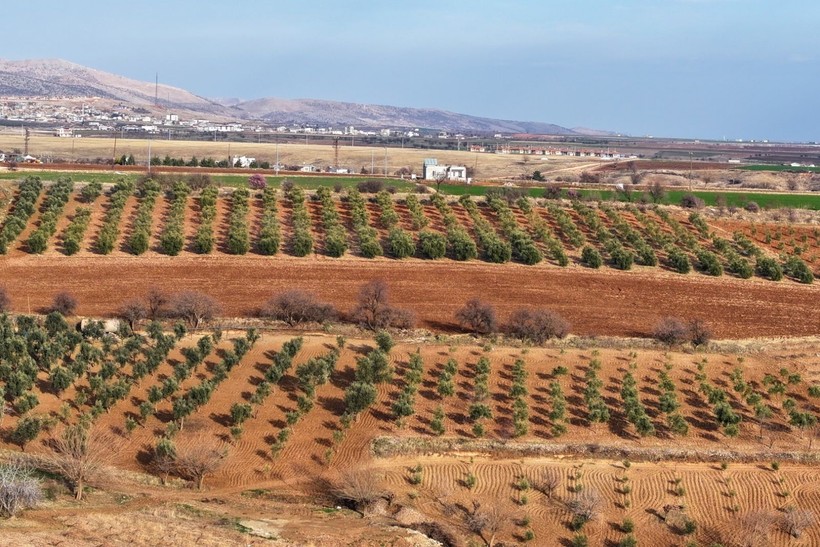 Adıyaman'a bahar erken geldi - Resim: 16