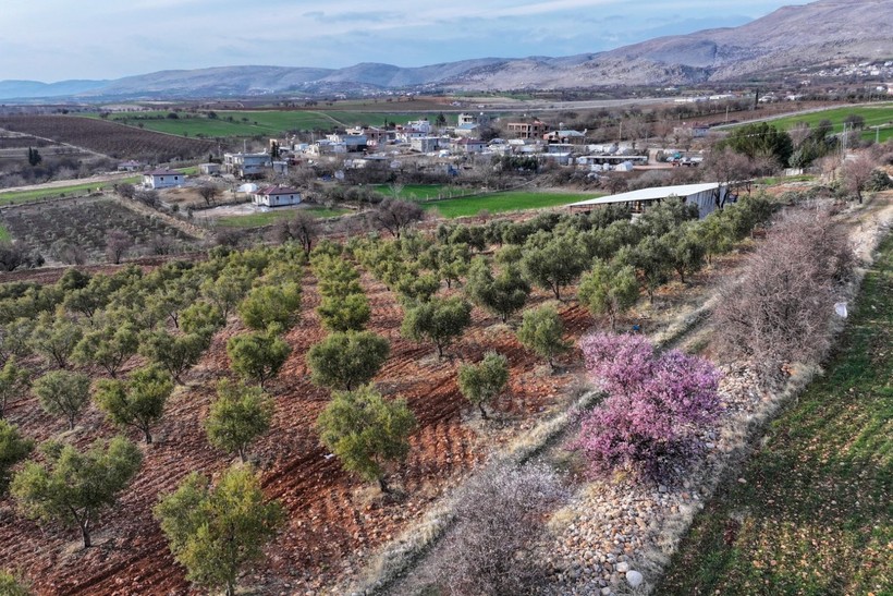 Adıyaman'a bahar erken geldi - Resim: 17