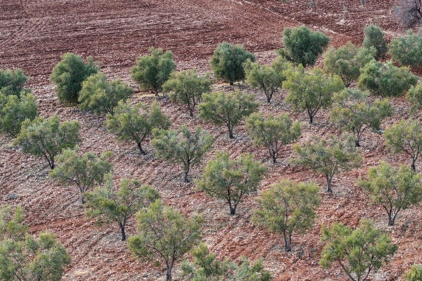 Adıyaman'a bahar erken geldi - Resim: 18