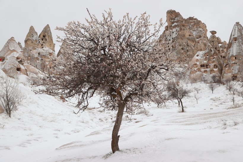 Kapadokya'daki peribacaları kar yağışıyla beyaza büründü - Resim: 1