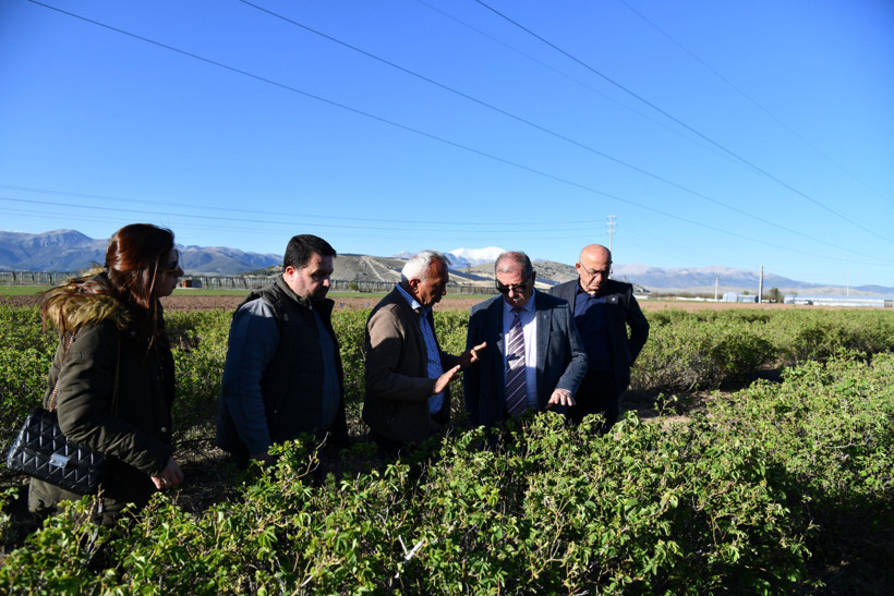 'Zirai don' bahçeleri vurdu: Elma, gül, kiraz ve kayısıda büyük kayıp - Resim : 2