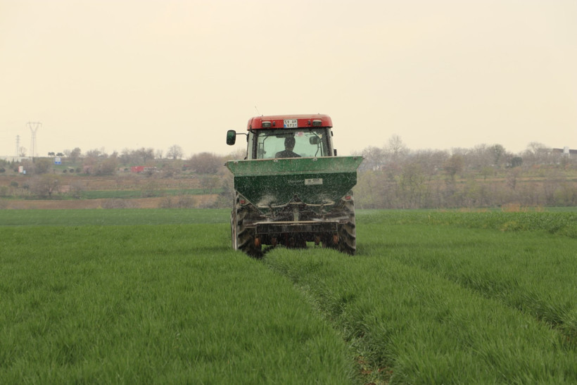 Buğdayda büyük tehlike - Resim : 2