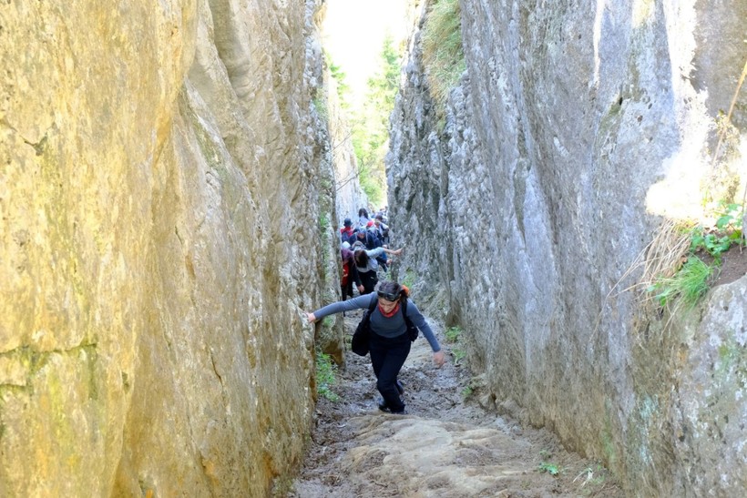 'Mavi Yıldız' çiçeklerini görmek için 11 kilometre yürüdüler - Resim: 8
