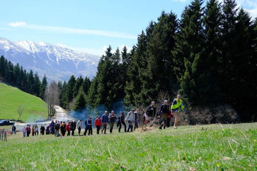 'Mavi Yıldız' çiçeklerini görmek için 11 kilometre yürüdüler - Resim: 10