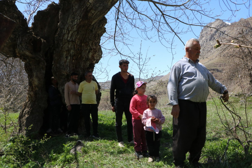 Asırlık ceviz ağacının kovuğuna 12 kişi sığdı - Resim : 2