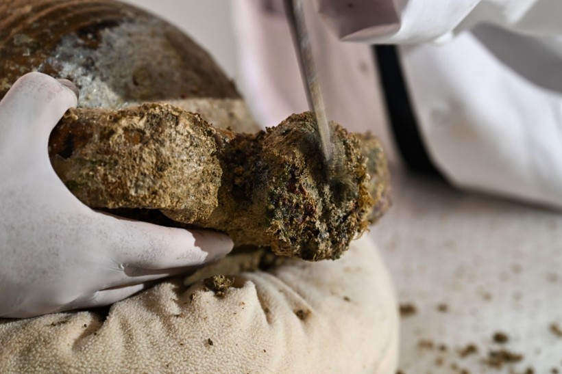 Denizin dibinden çıktı, 1100 yıl sonra açıldı - Resim: 1
