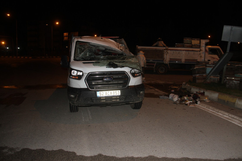 Kazaya müdahaleye giden polis, arıların hedefi oldu - Resim : 2