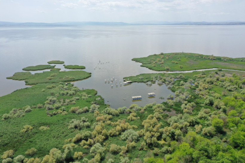 Kuşcenneti’nde bahar coşkusu: Milli Park kuşlarla renklendi - Resim: 12