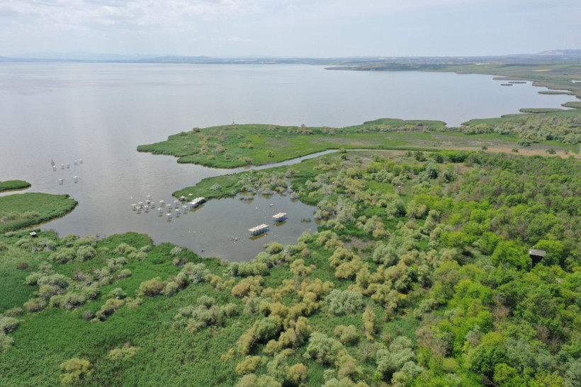 Kuşcenneti’nde bahar coşkusu: Milli Park kuşlarla renklendi - Resim: 11
