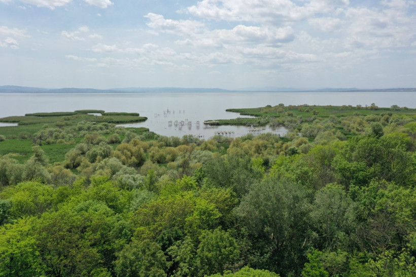 Kuşcenneti’nde bahar coşkusu: Milli Park kuşlarla renklendi - Resim: 5
