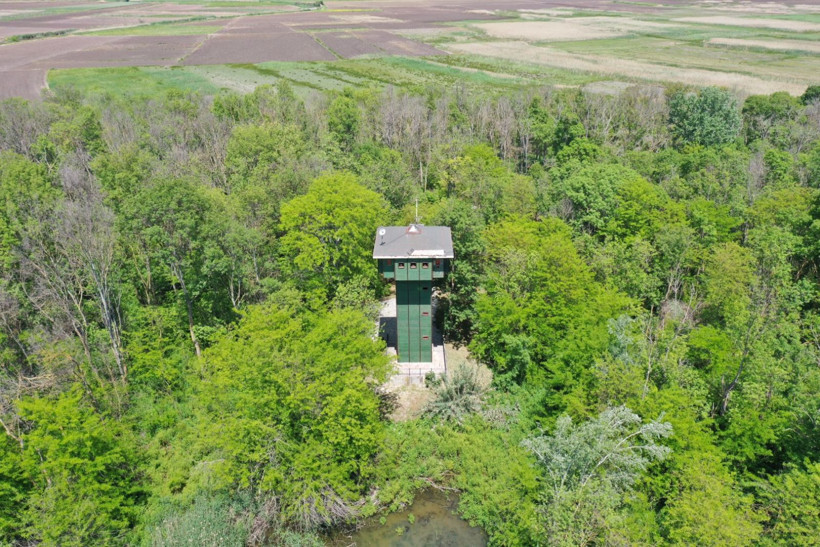 Kuşcenneti’nde bahar coşkusu: Milli Park kuşlarla renklendi - Resim: 4