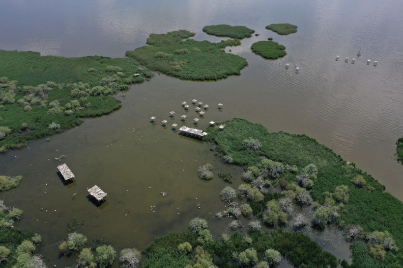 Kuşcenneti’nde bahar coşkusu: Milli Park kuşlarla renklendi - Resim: 1