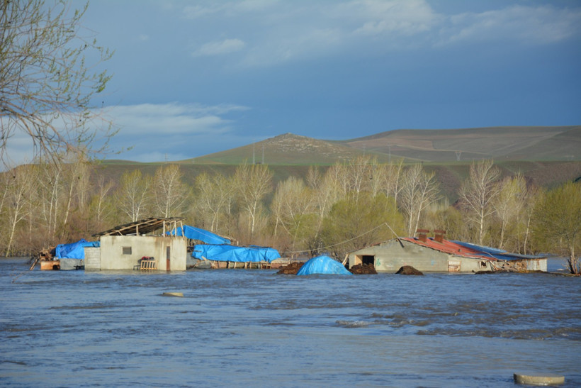 Sağanak nehri taşırdı: Tarım arazileri sular altında kaldı - Resim : 2